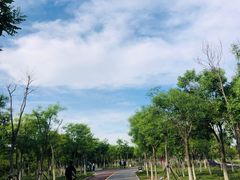 -天津东丽湖风景区