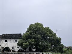 -东钱湖旅游度假区