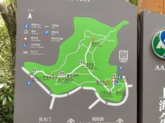 -上海佘山国家森林公园天马山园