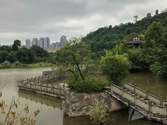 -张坝桂圆林公园