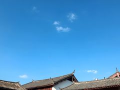 -内涵饵块