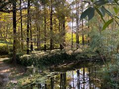-月湖风景区