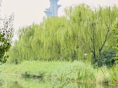 -北京奥林匹克公园