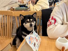 -柴の食堂·日式家庭料理·熊之肆(大学路店)