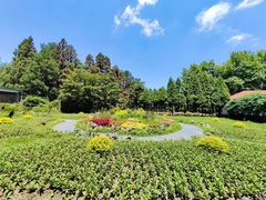 -庐山风景区花径公园