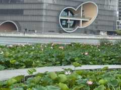 -嘉定凯悦·咖啡厅