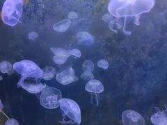 -嘉兴海底世界