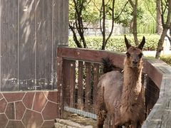 -上方山森林动物世界