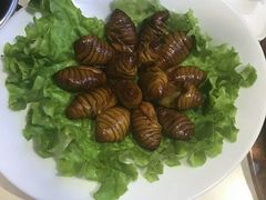 -老佛爷炭火蛙锅直营(清滨路总店)