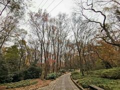 -紫霞湖公园