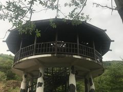 -瑞穗牧场