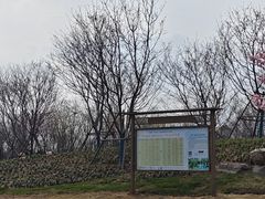 -武汉紫薇都市田园