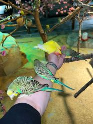 -酷嗒动物文化乐园(cutezoo西溪乐天城店)