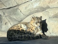 -青藏高原野生动物园