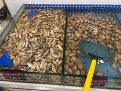 -渔家乐小海鲜(皇姑店)