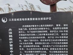 -盐城丹顶鹤湿地生态旅游区
