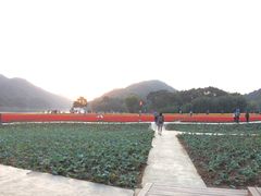 -广州市石门国家森林公园