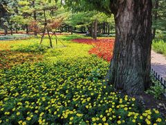 -黑龙江省森林植物园