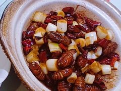 生嗜蝉蛹-李家猪蹄融合菜馆(河松街店)