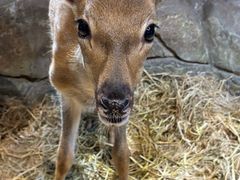 -萌宠奇缘(荣鼎店)