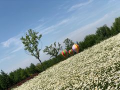 -同里国家湿地公园