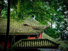 -青城山