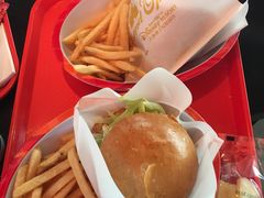 餐饮设施-上海迪士尼度假区