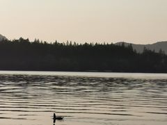 -苏堤停车场