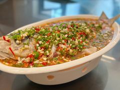 飞虹鱼-飞虹鱼馆(春华路店)