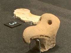 -盘龙城遗址博物院