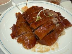 -椿记烧鹅(叠彩店)