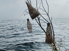 -抚仙湖禄充风景区