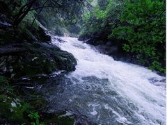 -祁门牯牛降观音堂风景区