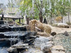 -北京野生动物园