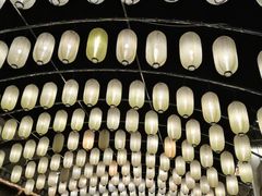 -婺源梦里老家大型山水实景演出