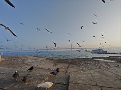 -星海广场