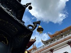 -深圳仙湖植物园