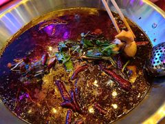 -红牌美蛙鱼头火锅(万辉国际广场店)