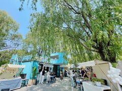 -沈阳鸟岛