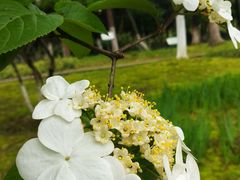 -白塘生态植物园