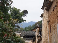 -杨家堂村