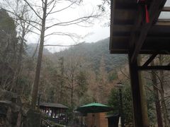 -宁海森林温泉