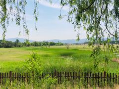 -野鸭湖国家湿地公园