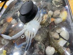 -鹏城人家海鲜酒家·23年老字号(较场尾店)