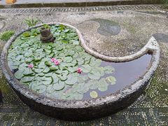 -都江堰普照寺