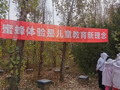 -北京东方普罗旺斯薰衣草庄园