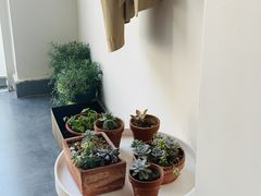 -稀物集咖啡(徽州大道店)