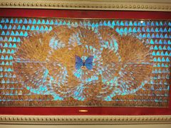 -上海昆虫博物馆