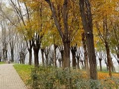 -洨河生态公园