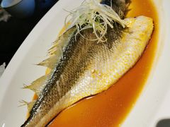 -鹊玥·粤菜小馆(汇智国际商业中心店)